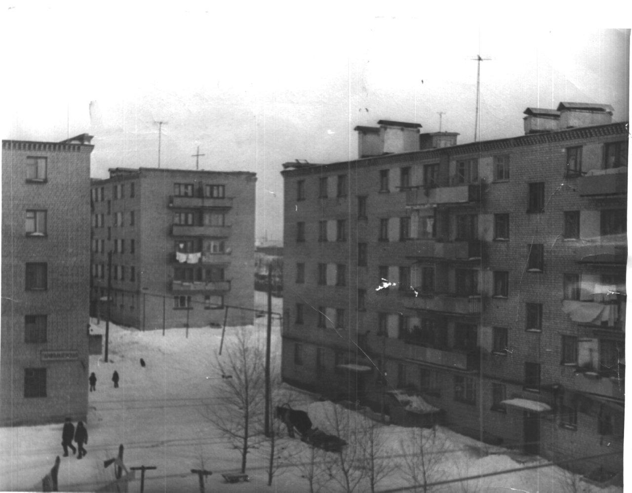 Заводской поселок, ул.Водопроводная 23А (вид со двора 1970г)